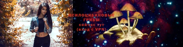 крисы Алзамай