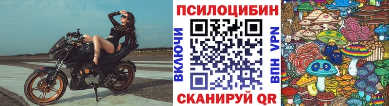 Галлюциногенные грибы прущие грибы  площадка формула  Дегтярск 